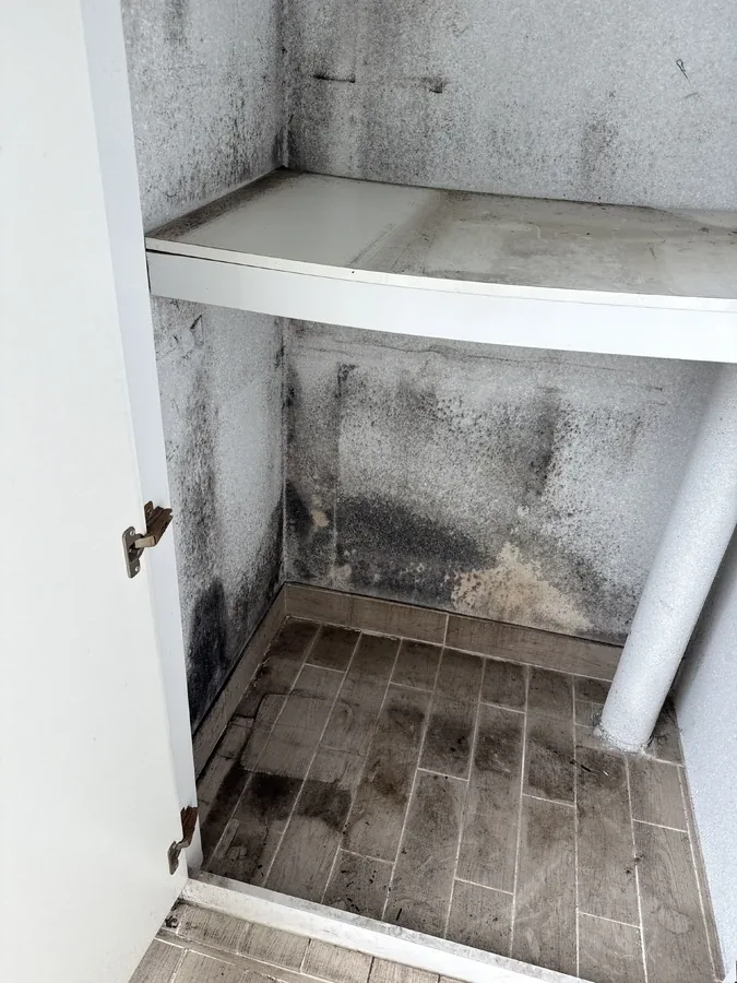 파주 다용도실 수납장 벽지페인트 도장 전, 곰팡이 번진 내부 모습